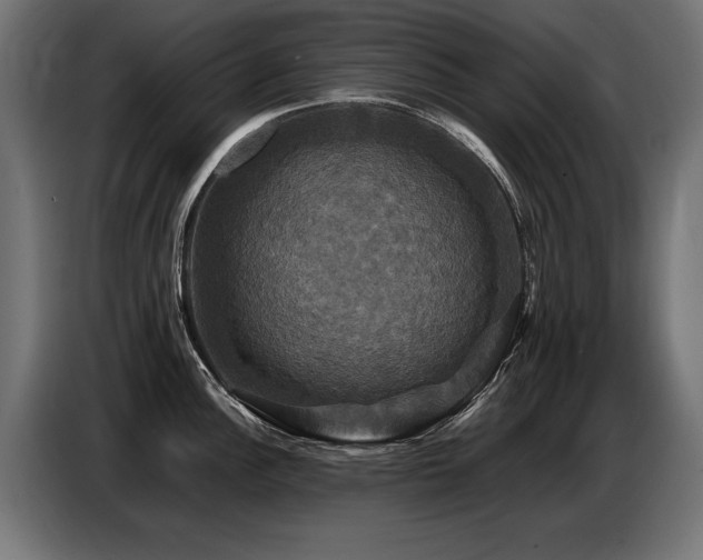 X0000087711148200705041054