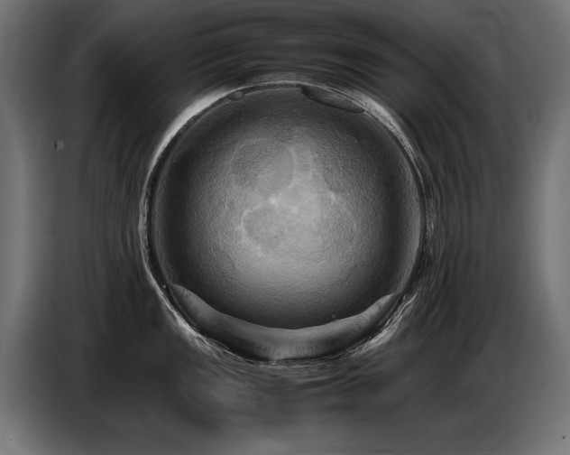 X0000087711149200705041054