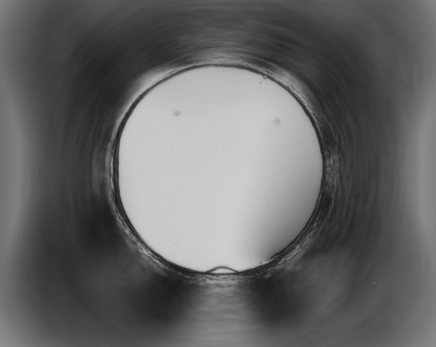 X0000087711150200705041054