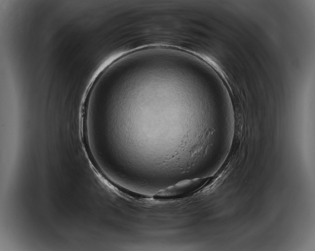 X0000087711151200705041054