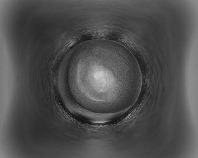 X0000087711153200705041053