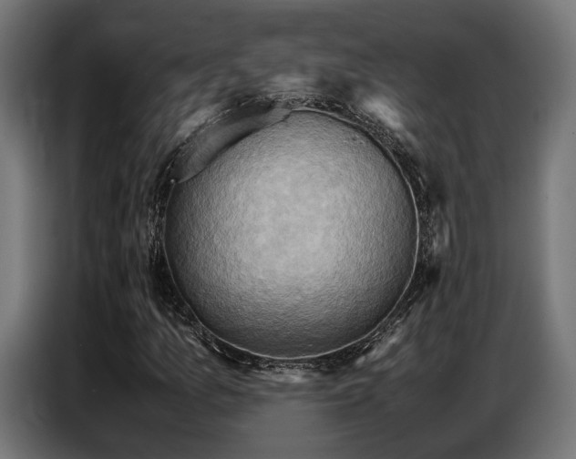 X0000087711157200705041053