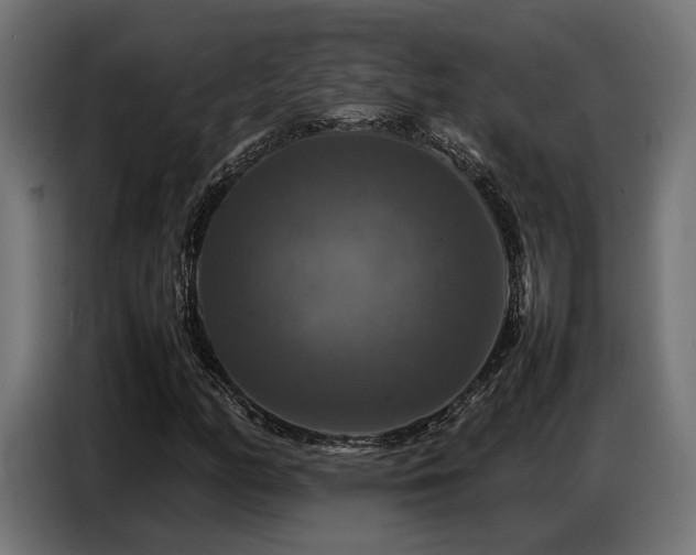X0000087711158200705041053