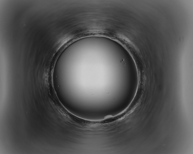 X0000087711162200705041053