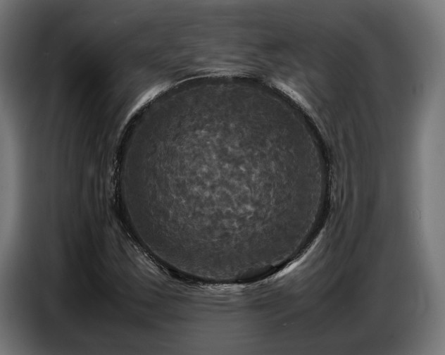 X0000087711163200705041053