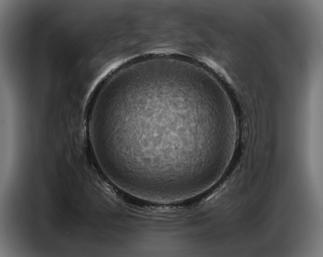 X0000087711167200705041053