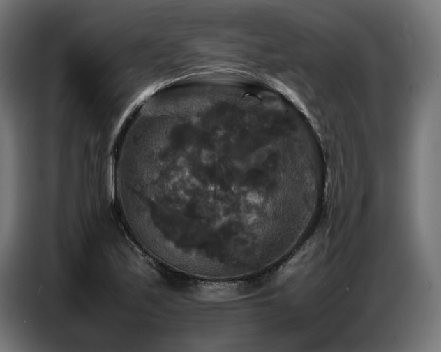 X0000087711171200705041053