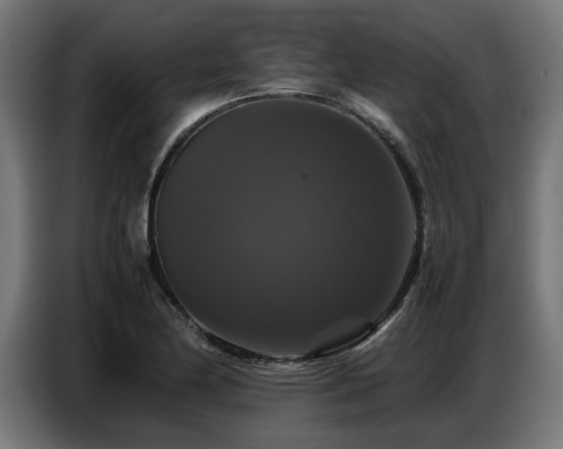 X0000087711174200705041053