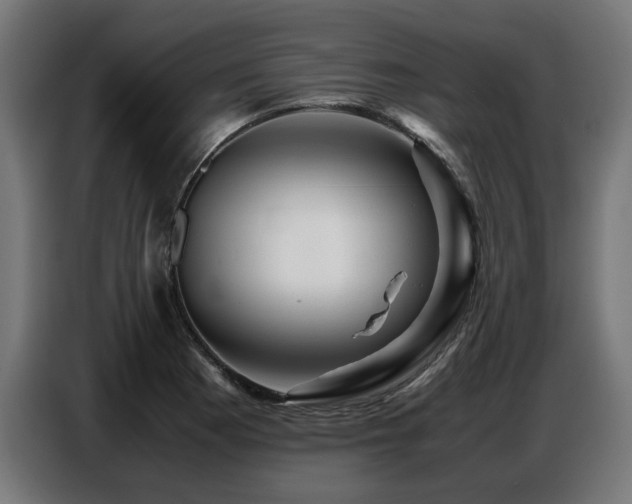 X0000087711177200705041053
