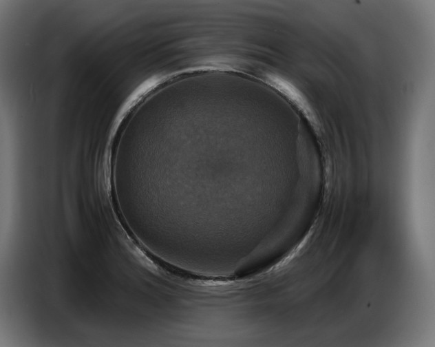 X0000087711180200705041053