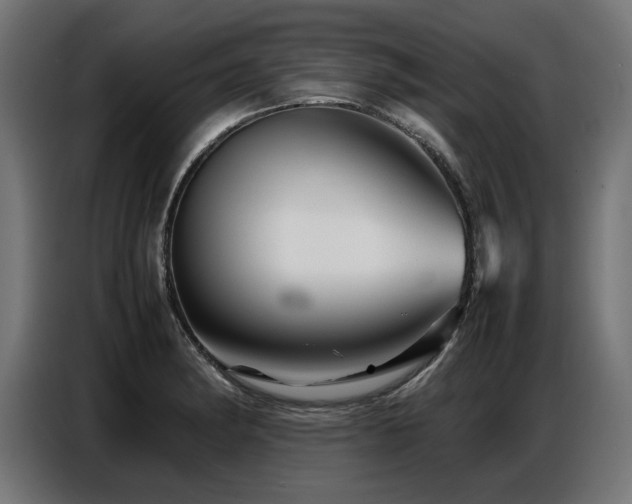 X0000087711182200705041053