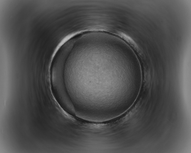 X0000087711184200705041053