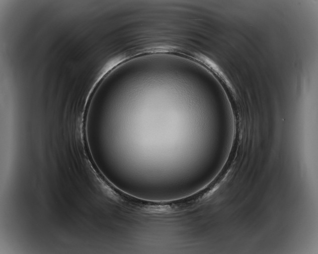 X0000087711186200705041053