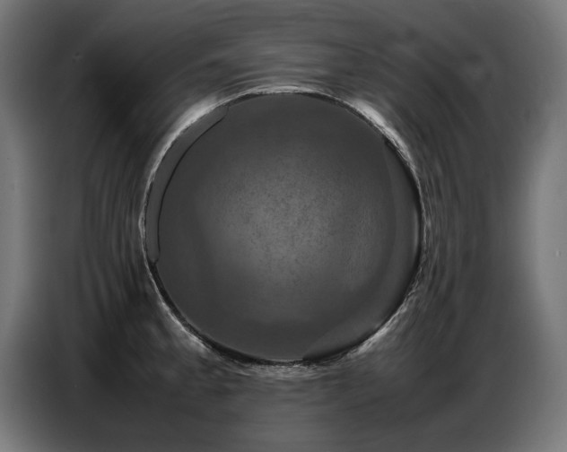 X0000087711189200705041053