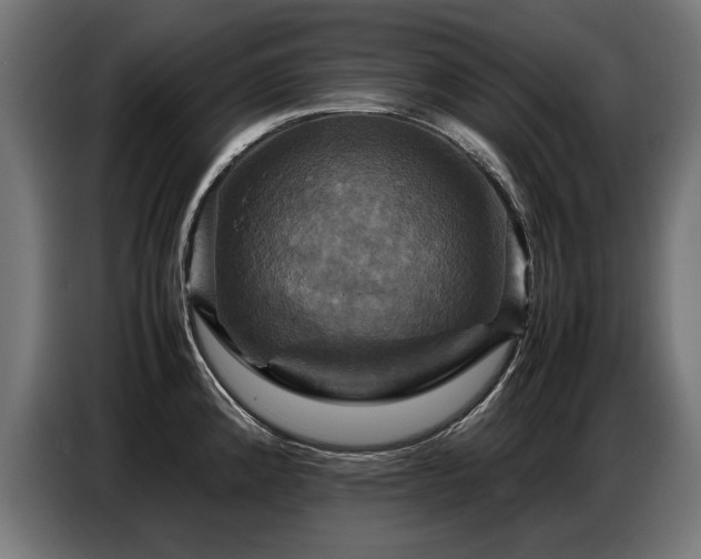 X0000087711192200705041053