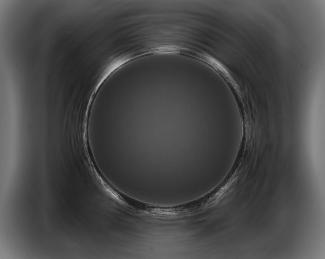 X0000087711194200705041053