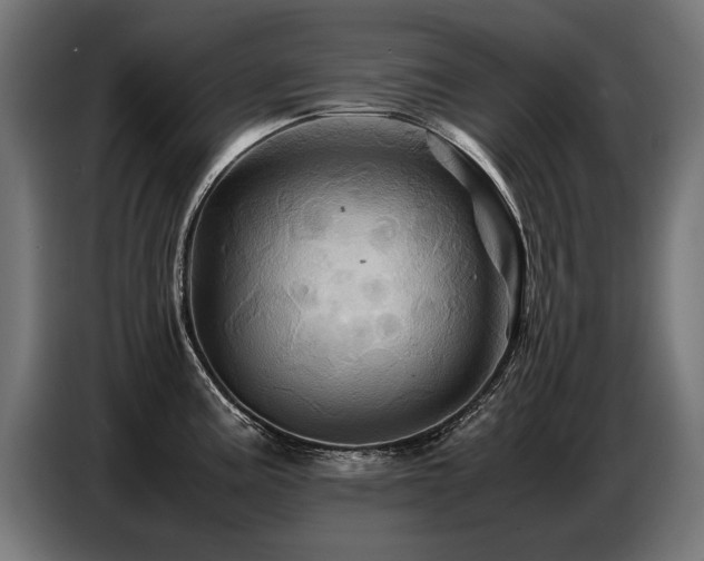 X0000087711195200705041053