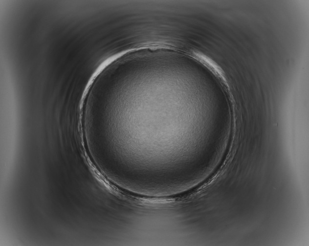 X0000087711200200705041053