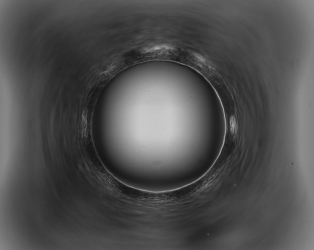 X0000087711203200705041052