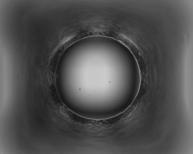 X0000087711207200705041052