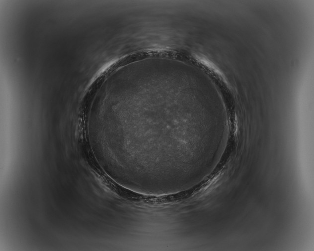 X0000087711208200705041052