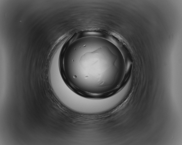 X0000087711210200705041052