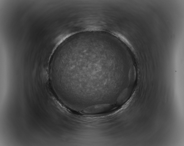 X0000087711212200705041052