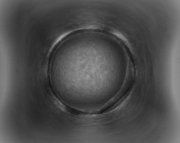X0000087711216200705041052