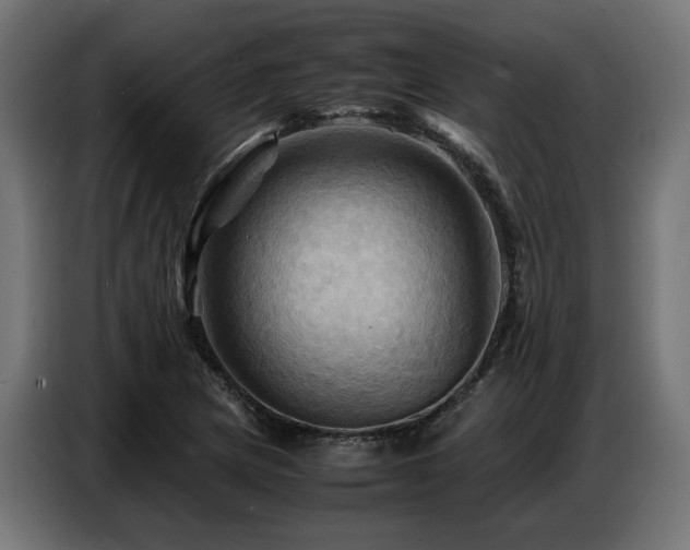 X0000087711217200705041052