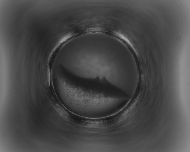 X0000087711219200705041052