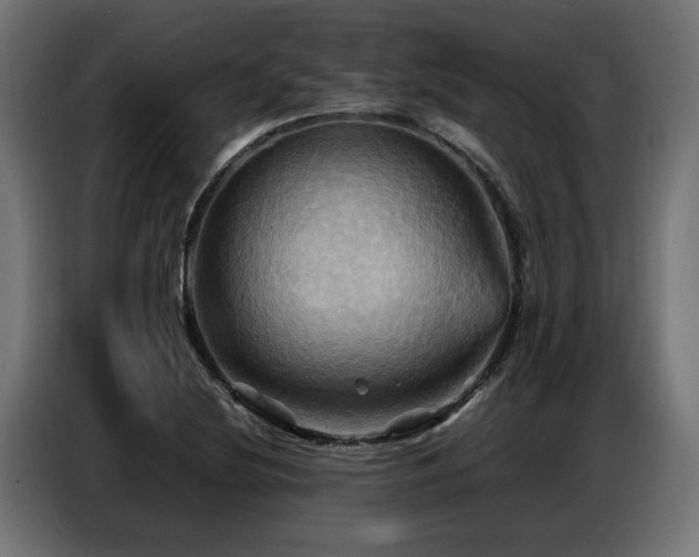 X0000087711220200705041052