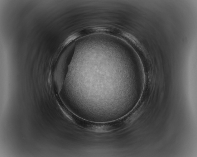 X0000087711225200705041052