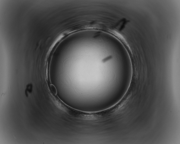 X0000087711227200705041052
