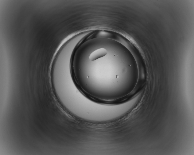 X0000087711230200705041052