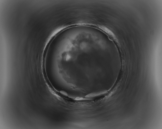 X0000087711231200705041052