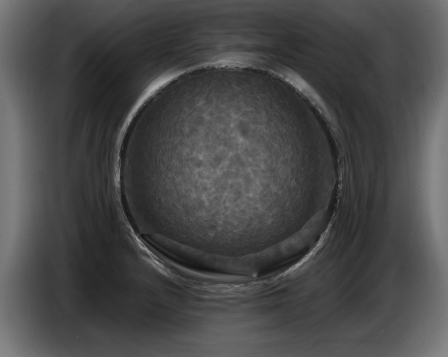 X0000087711232200705041052
