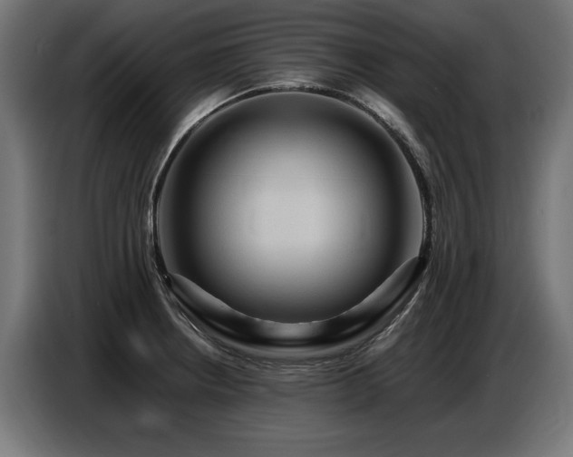 X0000087711234200705041052