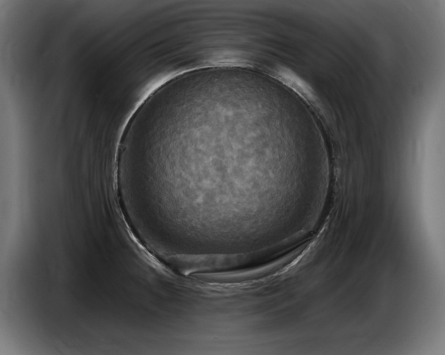 X0000087711236200705041052