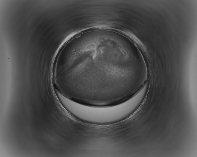X0000087711240200705041052