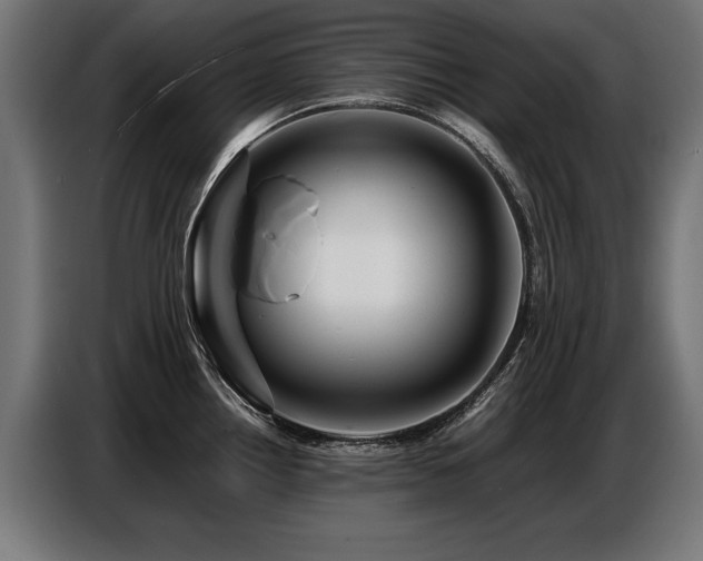 X0000087711242200705041052
