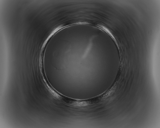X0000087711243200705041052