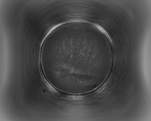 X0000087711244200705041052