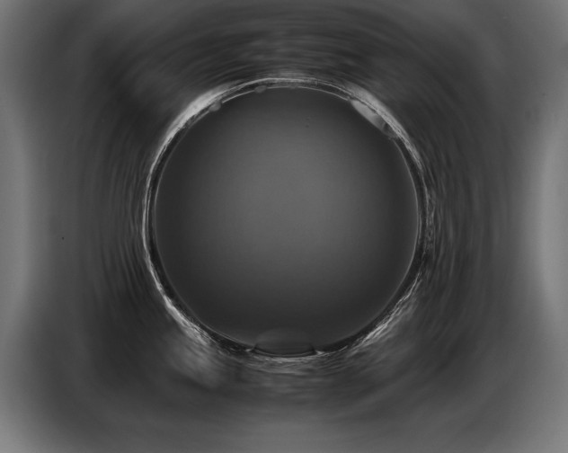 X0000087711245200705041052