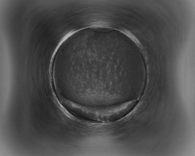 X0000087711248200705041053