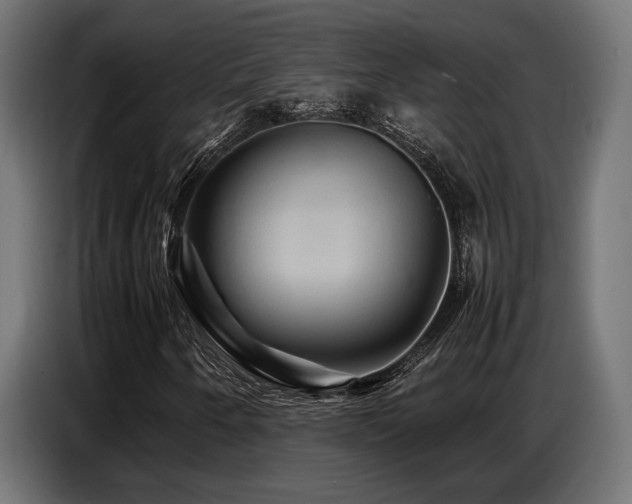 X0000087711250200705041052