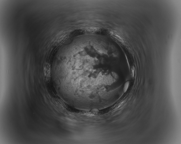 X0000087711251200705041052