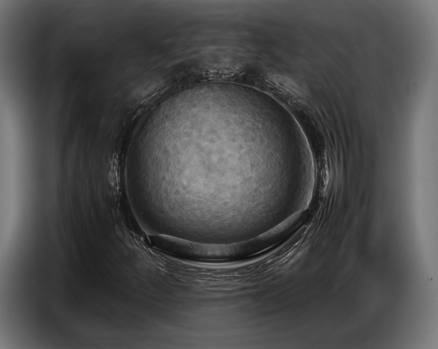 X0000087711252200705041052