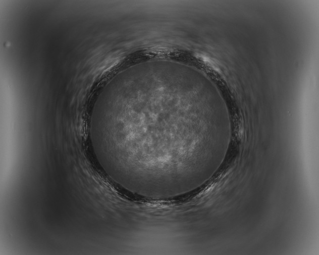 X0000087711253200705041052