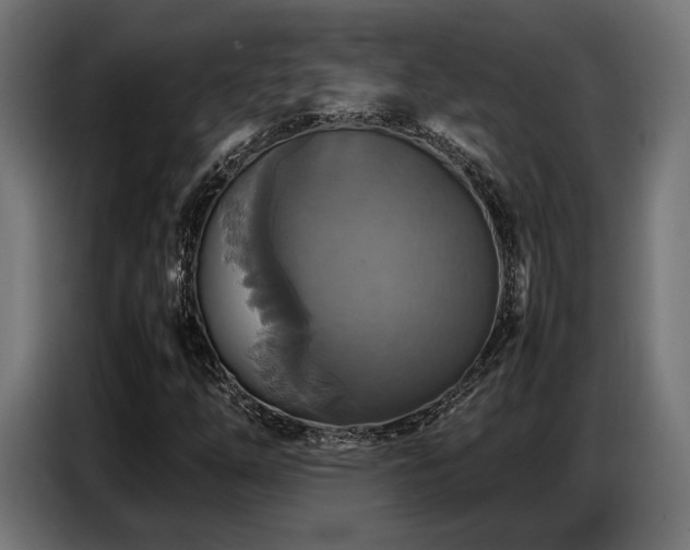 X0000087711254200705041052