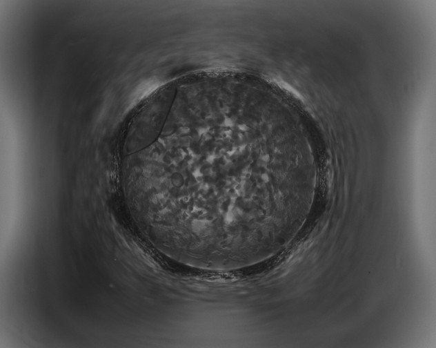 X0000087711255200705041052